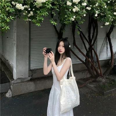 吾凰在上 动态漫画
